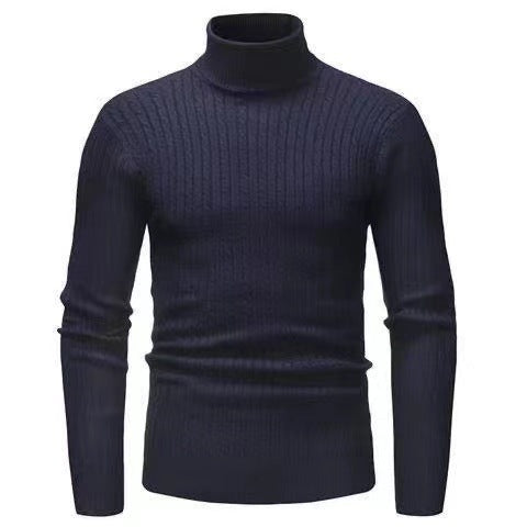 Herren Rollkragenpulli Struktur Zopfmuster Pullover Modern