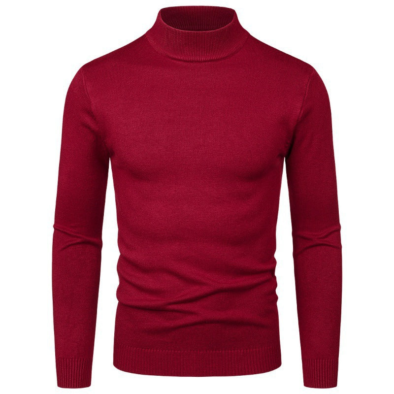 Herren Rollkragenpullover Eleganter Style Feine Baumwolle