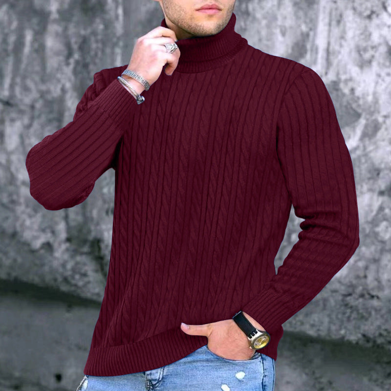 Herren Rollkragenpullover Modern Strukturiert Schwarz