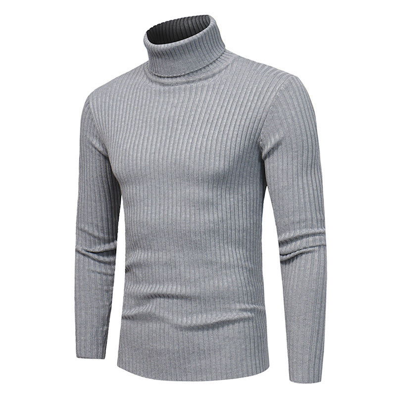Herren Pullover Rollkragen Modern Hochwertig