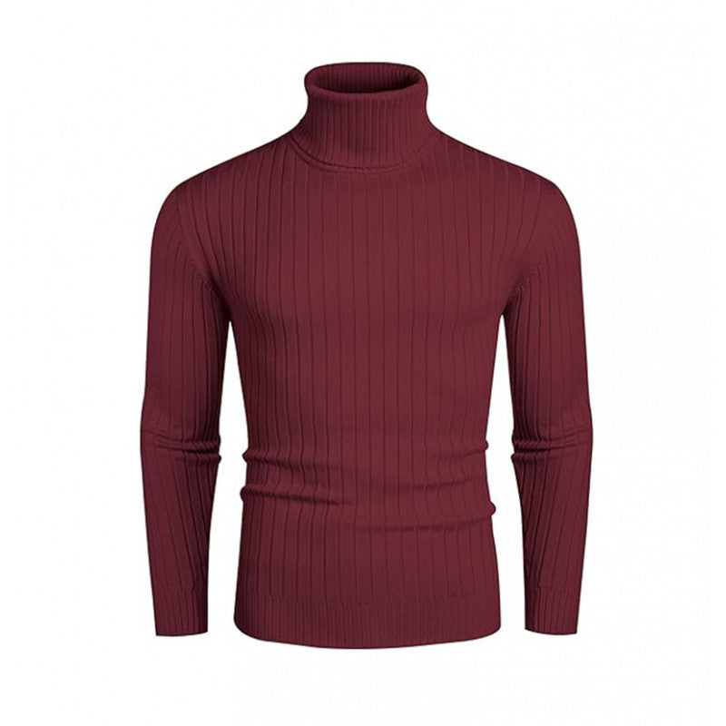 Herren Rollkragenpullover Elastisch Rippendesign Modern