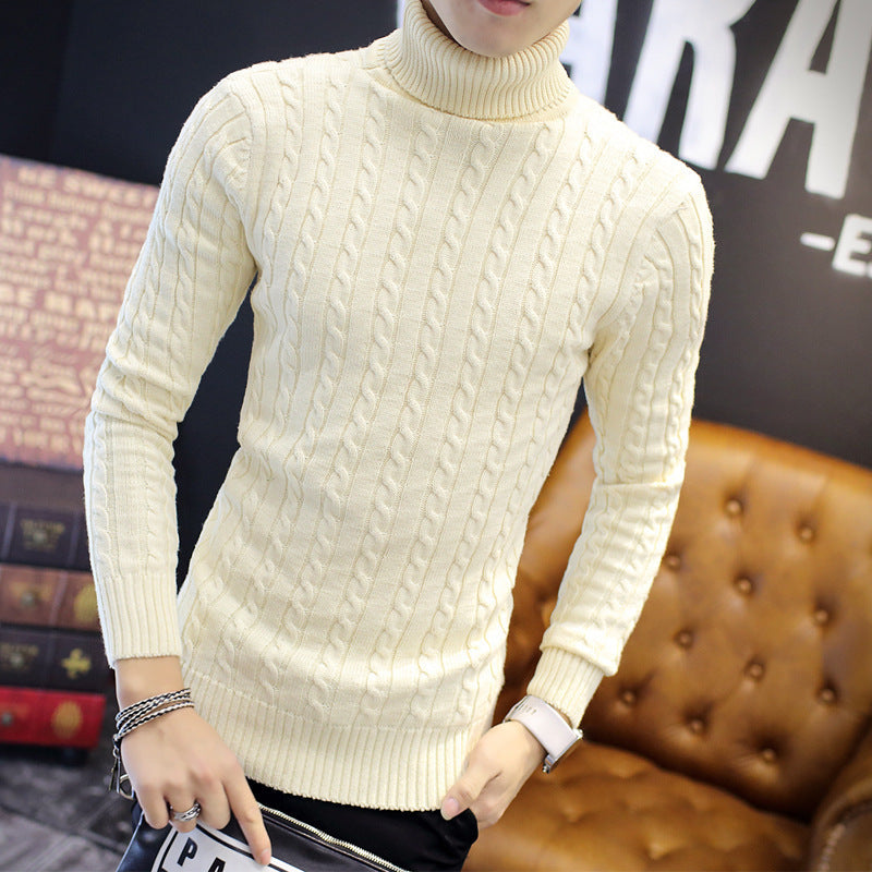 Herren Rollkragenpullover Zopfmuster Weich Komfortabel
