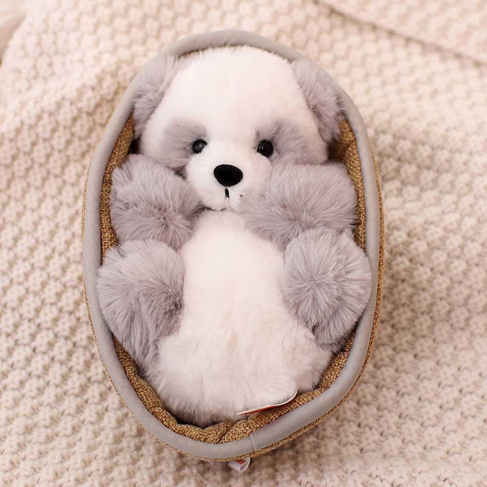 Niedlicher Panda Plüsch Teddy im Korb Süß