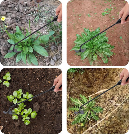 Garten Unkrautentferner Werkzeug Effektiv