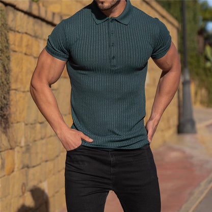 Männer Poloshirt Baumwolle Klassisch Elegант