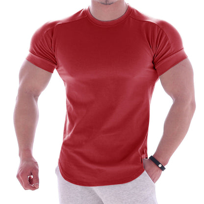 Herren Sport T-Shirt Kurzarm Feuchtigkeitsregulierend