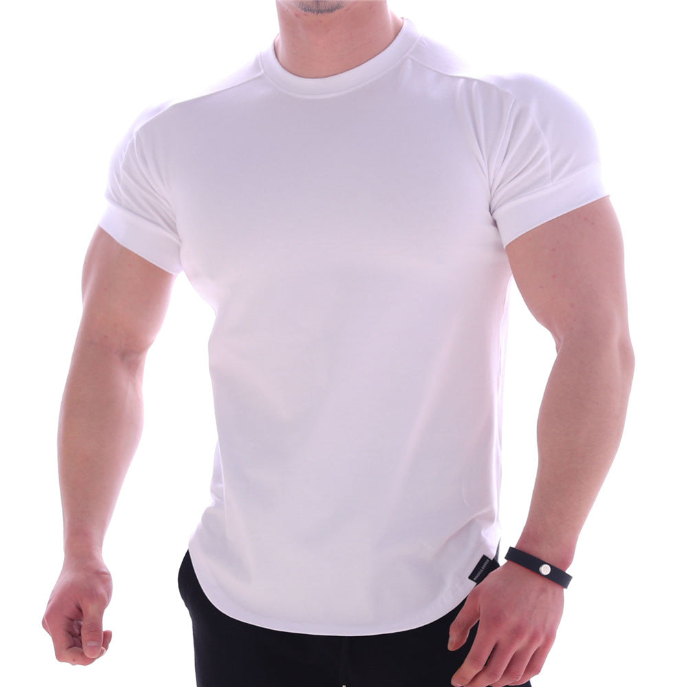 Herren Sport T-Shirt Kurzarm Feuchtigkeitsregulierend
