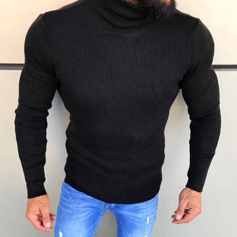 Herren Strickpullover Rollkragen Hochwertig Elegannt