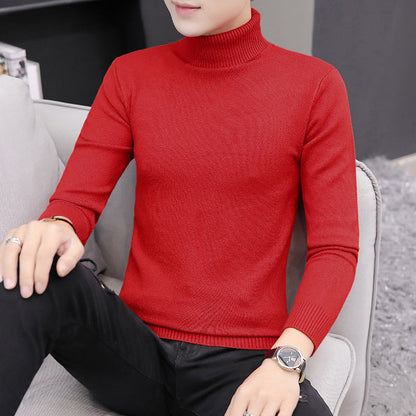 Herren Strickpullover Hochgeschlossen Elegant Modern