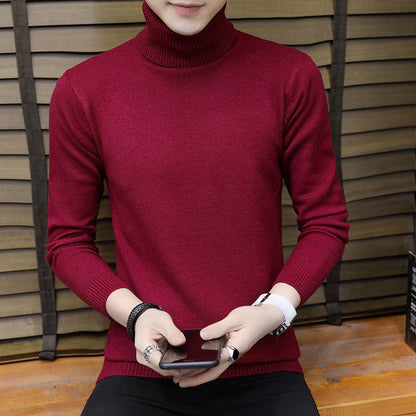 Herren Strickpullover Hochgeschlossen Elegant Modern