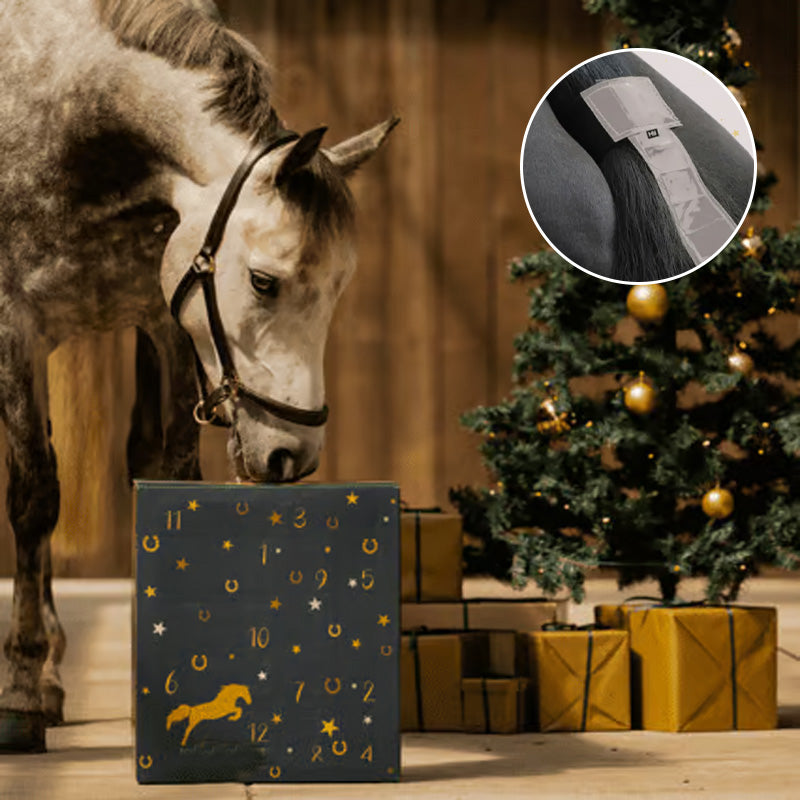 Adventskalender 2024 mit Ponyleiste und Fransen Glamour - BerlinGlamour