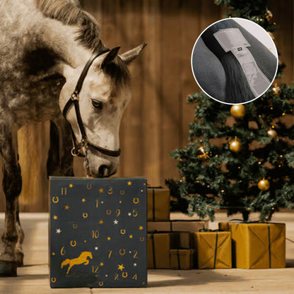 Adventskalender 2024 mit Ponyleiste und Fransen Glamour - BerlinGlamour