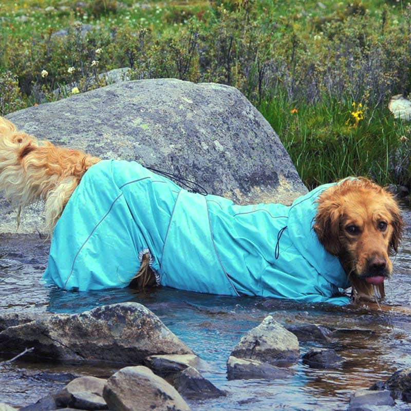 Wasserdichte Hundehülle Regenjacke Verstellbar Outdoor