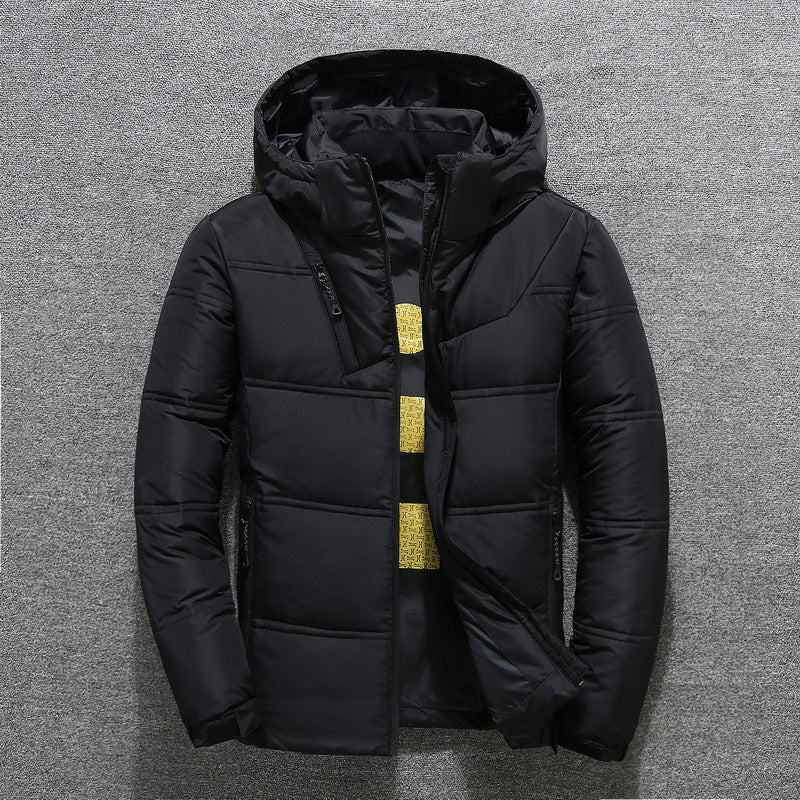 Herren Winterjacke Gesteppt Warm Mit Kapuze