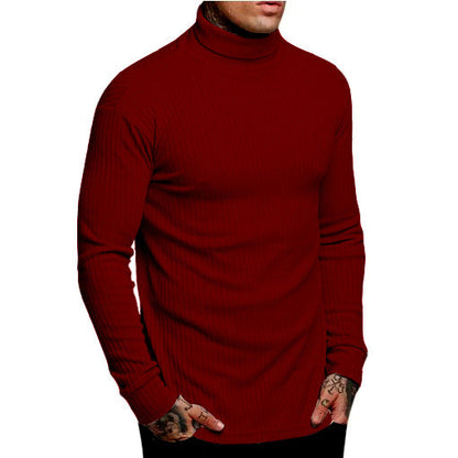 Herren Rollkragenpullover Modern Glamour Style