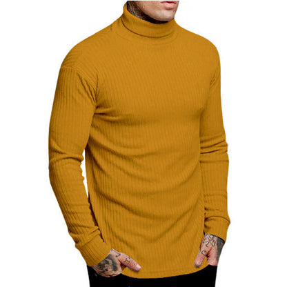 Herren Rollkragenpullover Modern Glamour Style