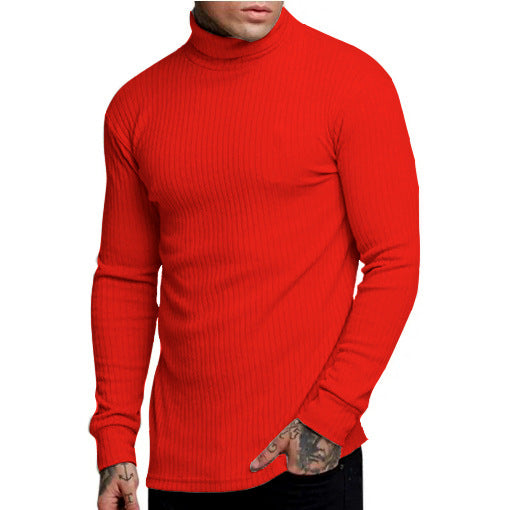 Herren Rollkragenpullover Modern Glamour Style