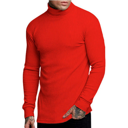 Herren Rollkragenpullover Modern Glamour Style