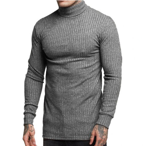 Herren Rollkragenpullover Modern Glamour Style