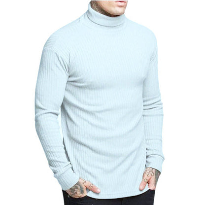 Herren Rollkragenpullover Modern Glamour Style