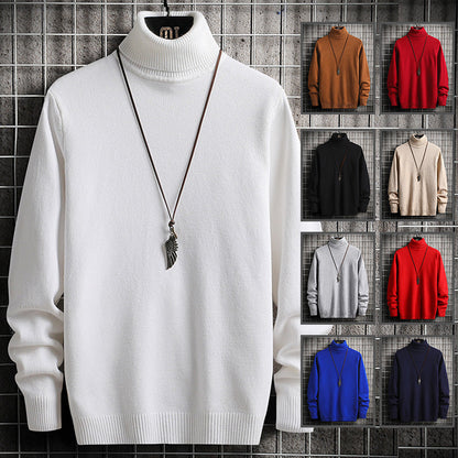 Herren Rollkragenpullover Lässig Modern Strickpullover Große Größen