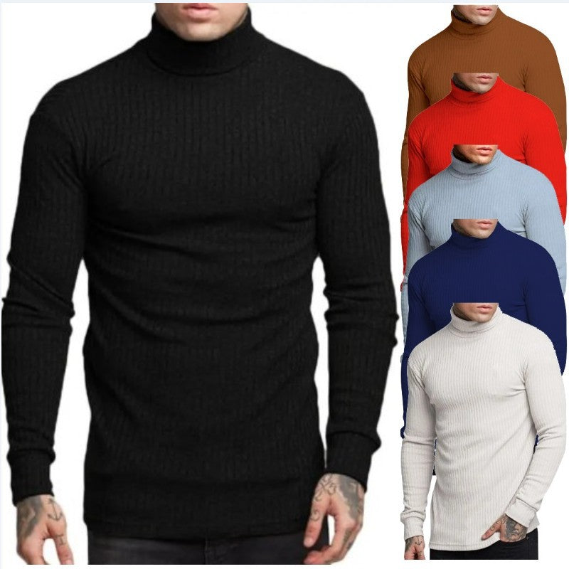 Herren Rollkragenpullover Modern Glamour Style - BerlinGlamour