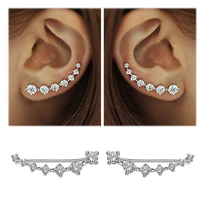 Sterling Silber Ohrring Glänzender Zirkon Elegante Ohrringe