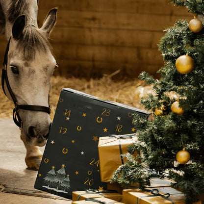Adventskalender 2024 mit Ponyleiste und Fransen Glamour