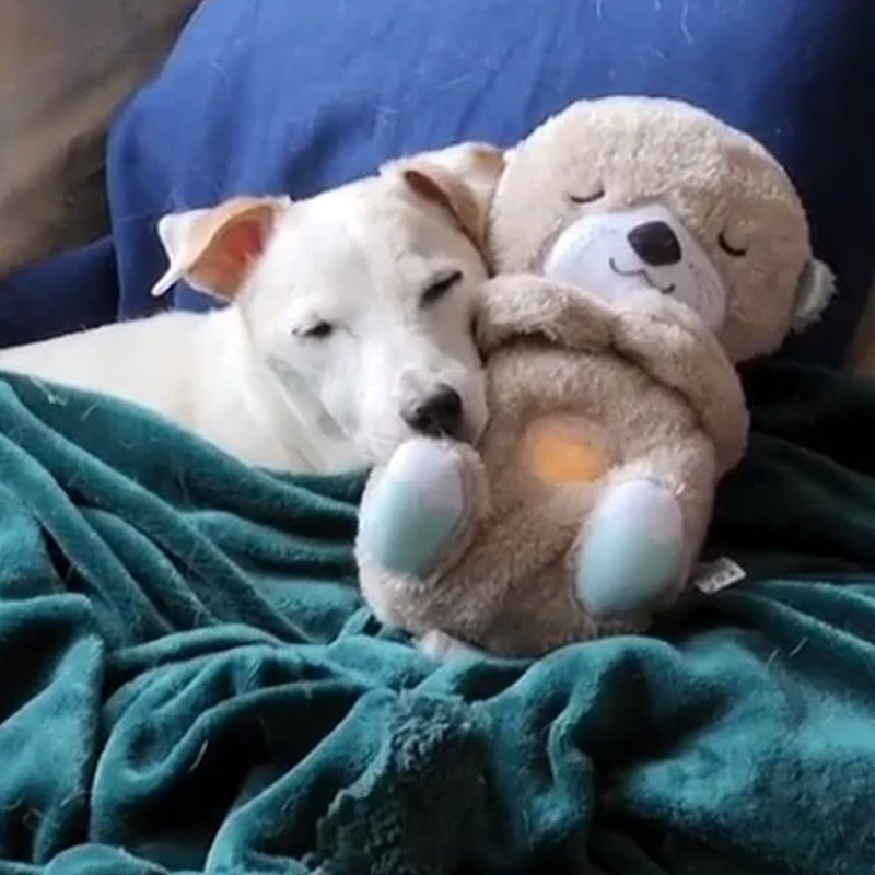 Süßer Otter Plüsch Kuscheltier