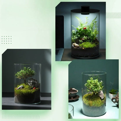 Mini Terrarium Dekovase Holz Modern