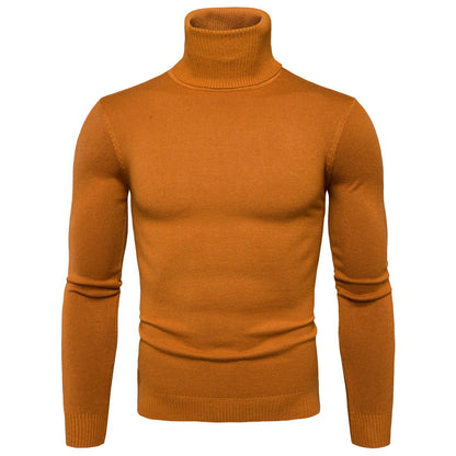Herren Rollkragenpullover Merinowolle Weich Warm Elegante Optik