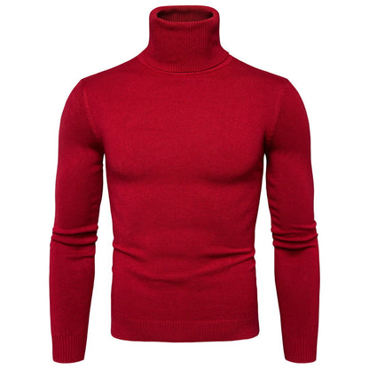 Herren Rollkragenpullover Weich Soft Strick Pullover