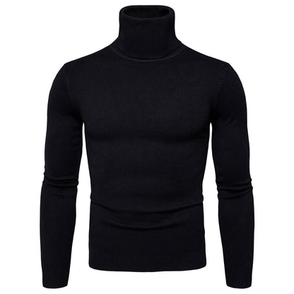 Herren Rollkragenpullover Merinowolle Weich Warm Elegante Optik