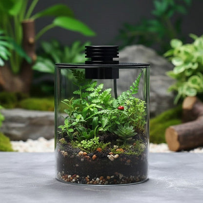 Mini Terrarium Dekovase Holz Modern - BerlinGlamour