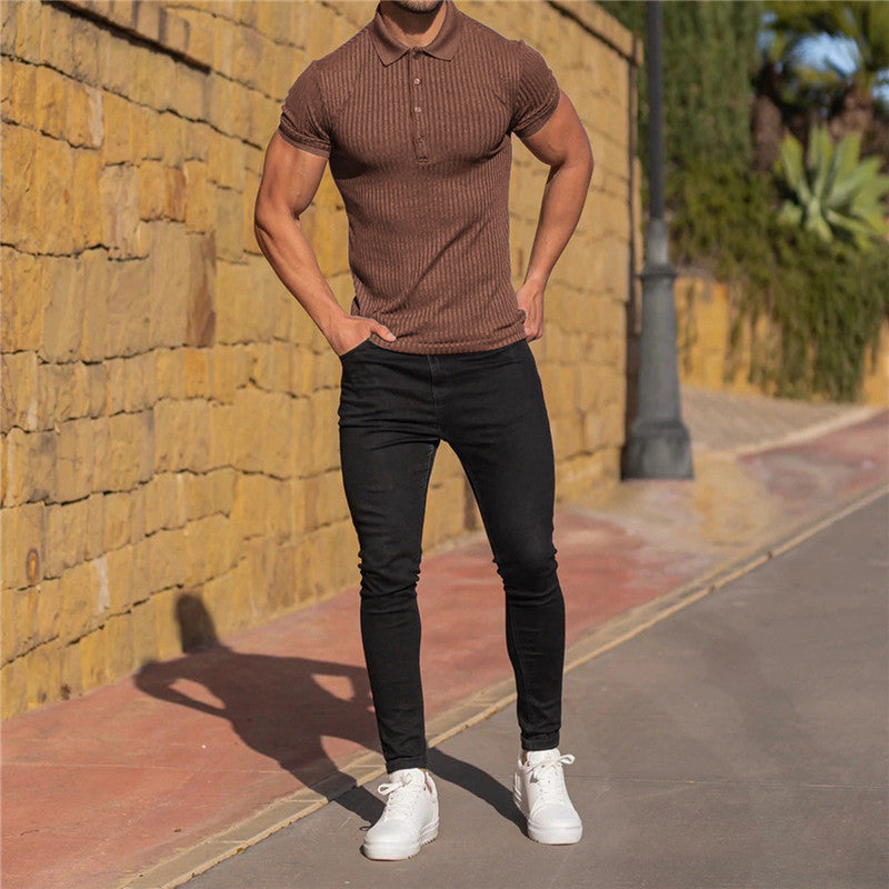 Männer Poloshirt Baumwolle Klassisch Elegант