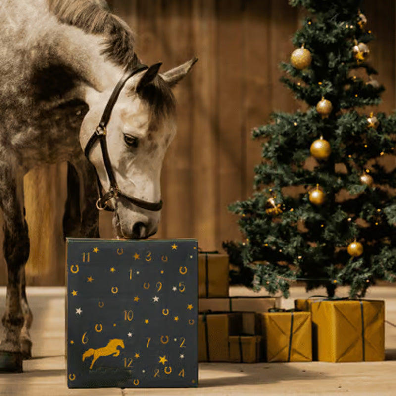 Adventskalender 2024 mit Ponyleiste und Fransen Glamour