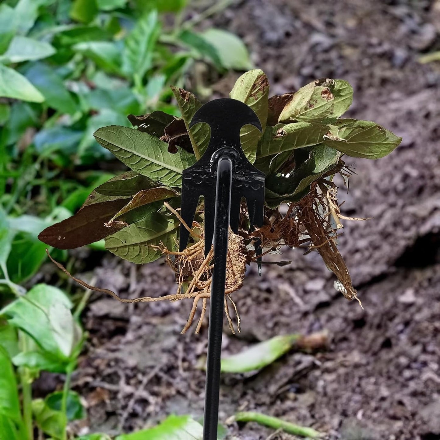 Garten Unkrautentferner Werkzeug Effektiv