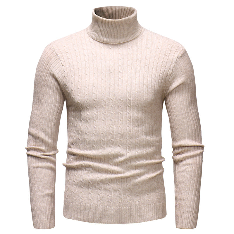 Herren Pullover Rollkragen Strukturiert Zopfmuster Modern