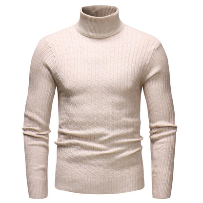 Herren Pullover Rollkragen Strukturiert Zopfmuster Modern