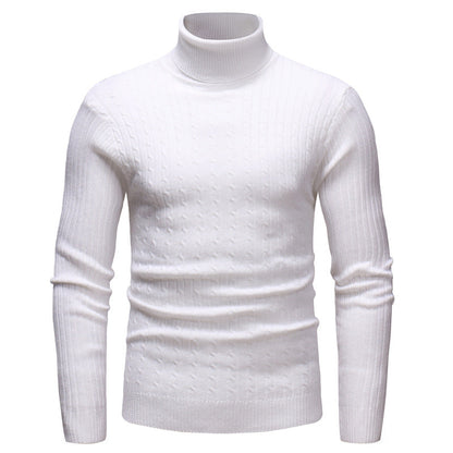 Herren Pullover Rollkragen Strukturiert Zopfmuster Modern