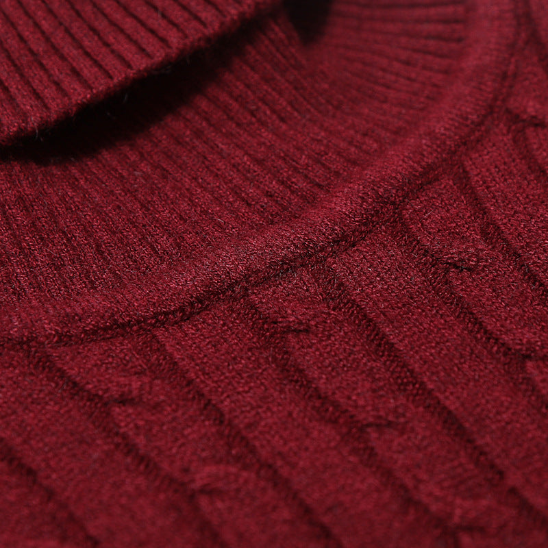 Herren Pullover Rollkragen Strukturiert Zopfmuster Modern