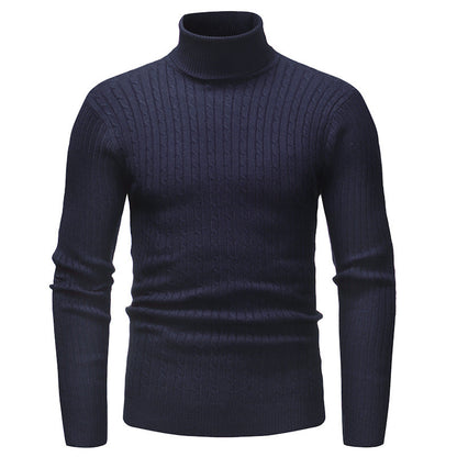 Herren Pullover Rollkragen Strukturiert Zopfmuster Modern