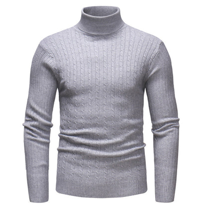 Herren Pullover Rollkragen Strukturiert Zopfmuster Modern