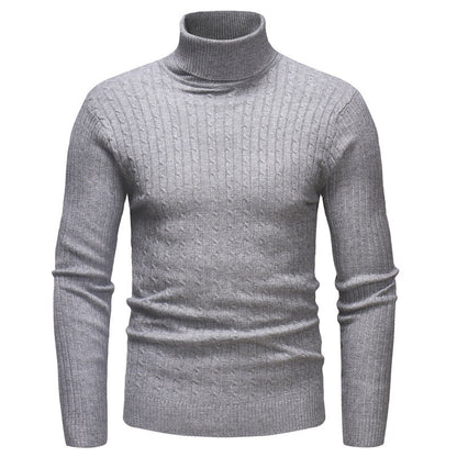 Herren Pullover Rollkragen Strukturiert Zopfmuster Modern