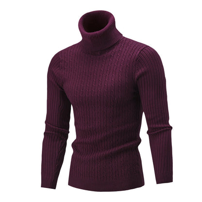 Herren Rollkragenpullover Strickware Modern Grau