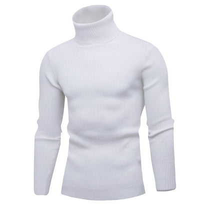 Herren Rollkragenpullover Weich Eleganter Strick Pullover