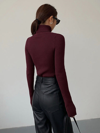 Damen Rollkragenpullover Frühling Stilvoll Gerippt