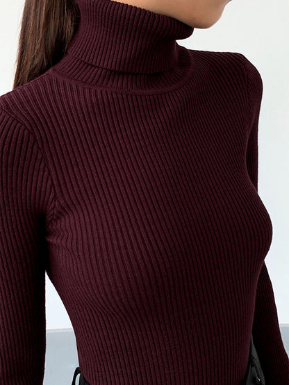Damen Rollkragenpullover Frühling Stilvoll Gerippt