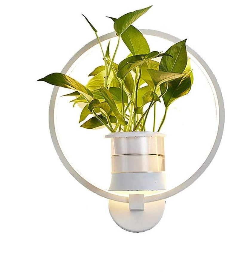 Pflanzenlampe Wandbeleuchtung Modern Grünpflanze - BerlinGlamour