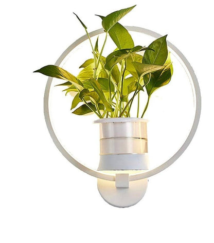 Pflanzenlampe Wandbeleuchtung Modern Grünpflanze - BerlinGlamour